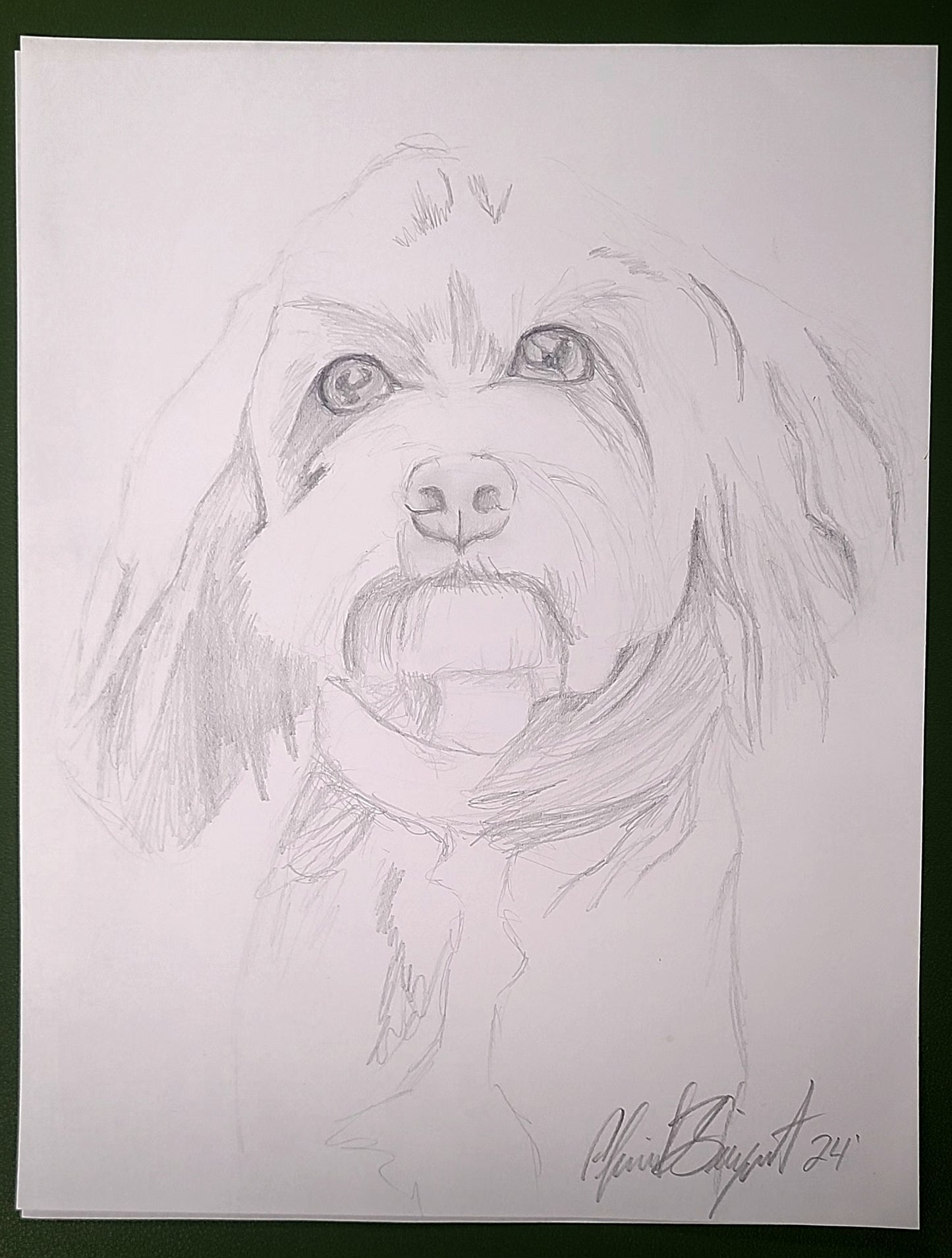 20-Minute Pet Sketch