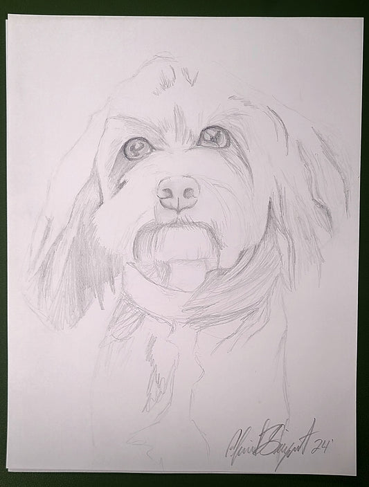 20-Minute Pet Sketch