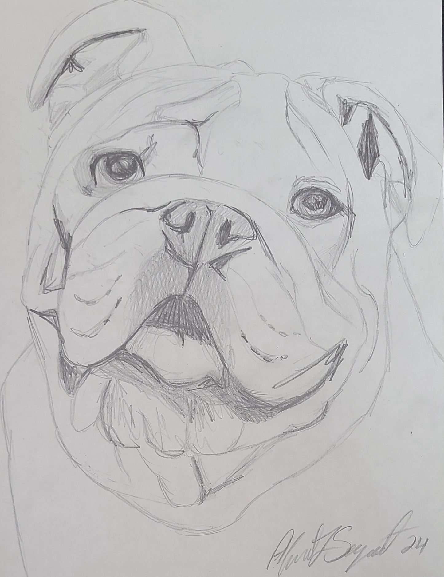 20-Minute Pet Sketch