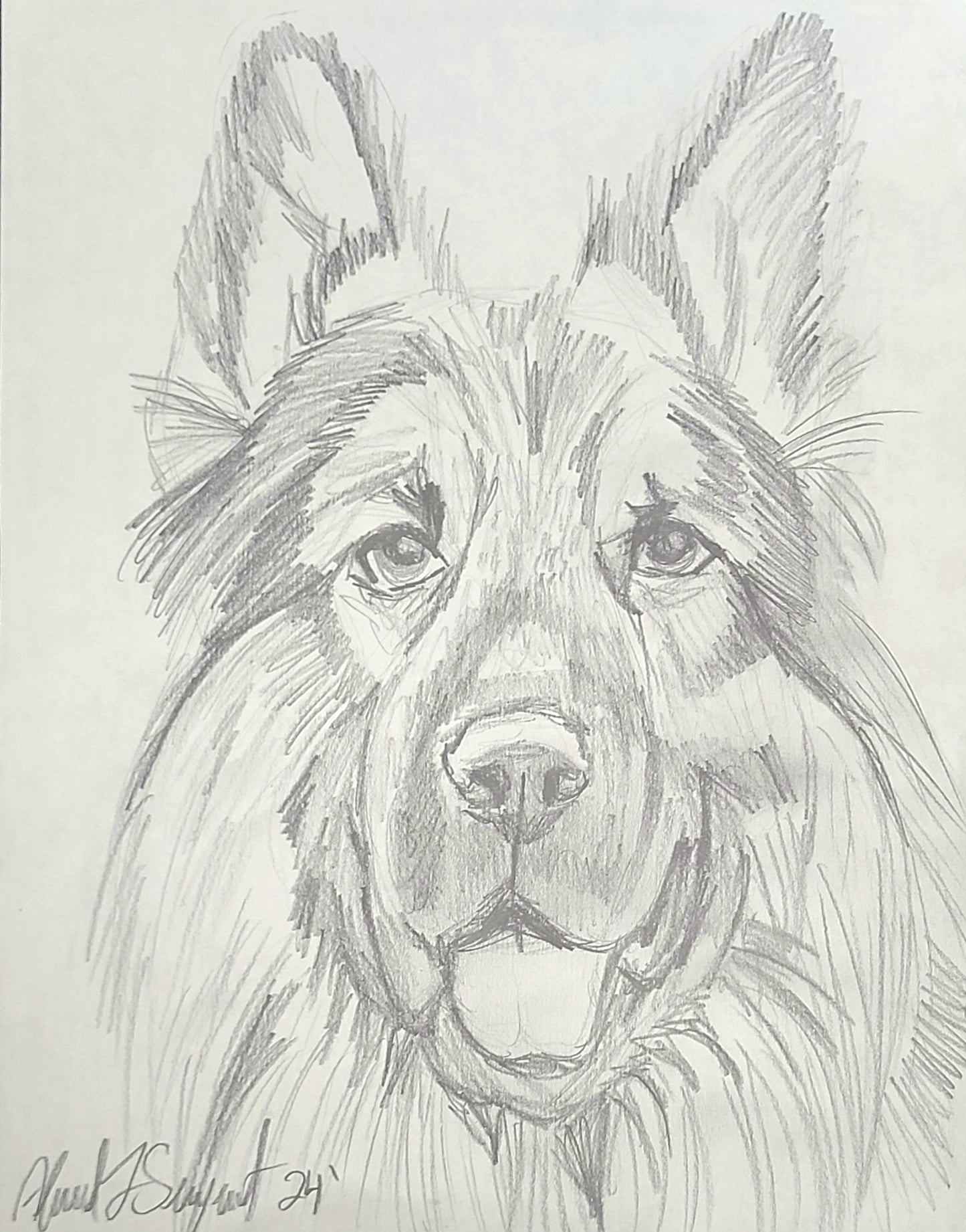 20-Minute Pet Sketch