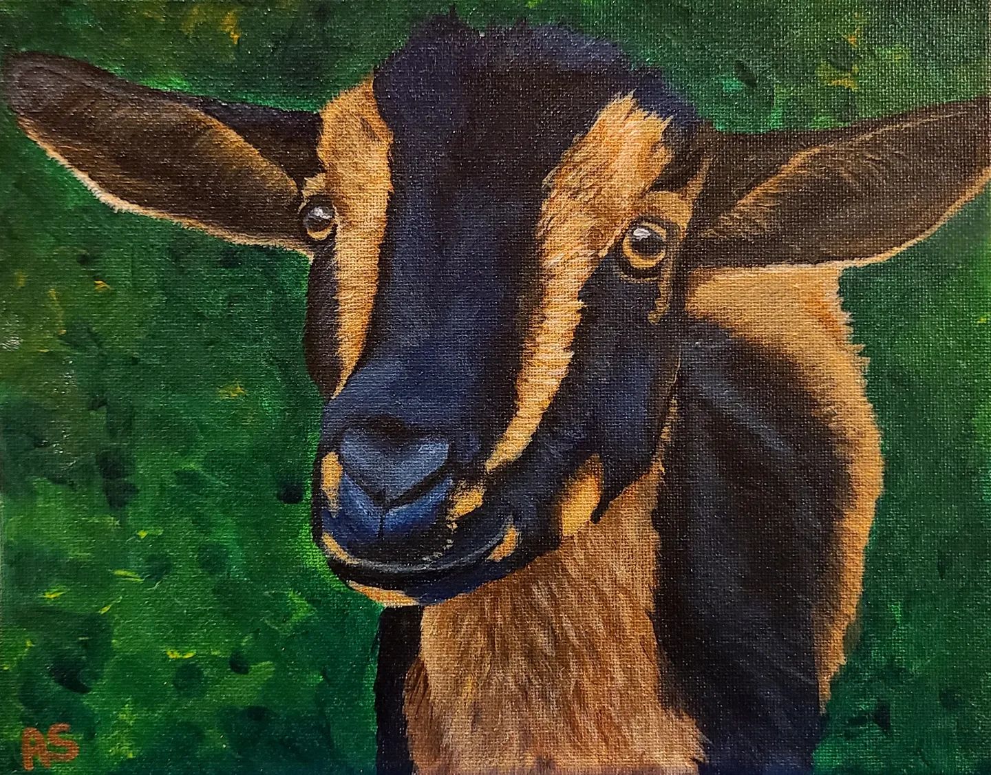 Hand Painted Pet Portrait