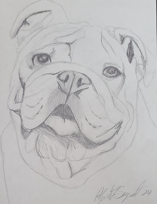 20-Minute Pet Sketch
