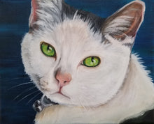 Load image into Gallery viewer, Memorial Pet Portrait
